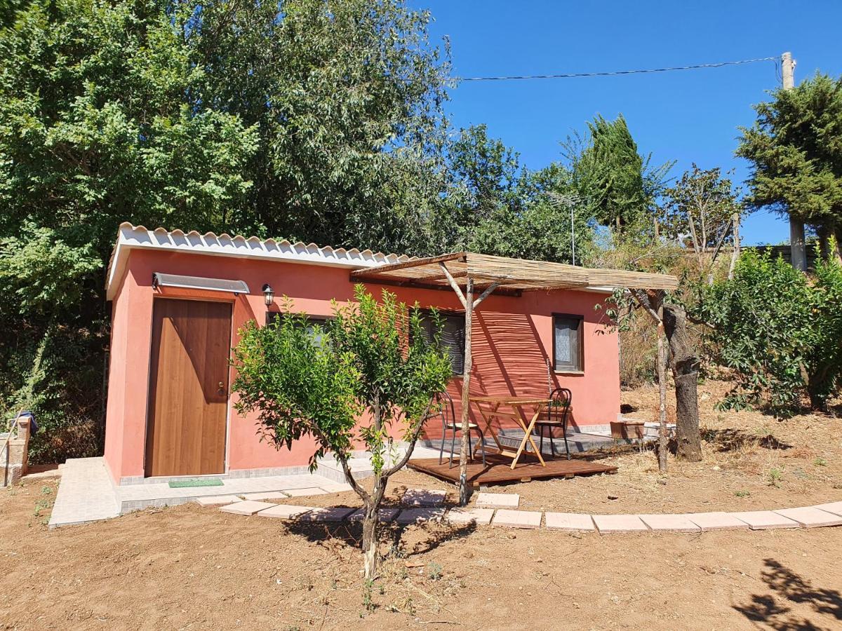 Azienda Agricola Sinisi Cerveteri Quarto foto